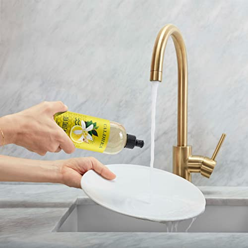 Caldrea Dish Soap Biodegradable Dishwashing Liquid made with Soap Bark and Aloe Vera Sea Salt Neroli 16 oz