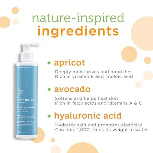 EARTH SCIENCE ADE Creamy Fruit Oil Face Cleanser For Dry Normal or Sensitive Skin 8 fl oz