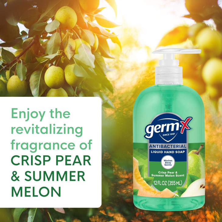 GermX Antibacterial Hand Soap 12 Oz Pack 4 Moisturizing Liquid Hand Wash for Kitchen or Bathroom pH Balanced Dermatologi