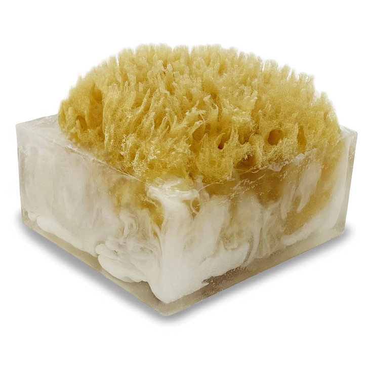 Primal Elements Sugar Rush SpongeBar Soap Pack of 2