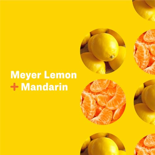 Everyone Meyer Lemon Mandarin Refill Size Hand Soap 32 Fz