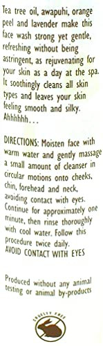 Trader Joes Spa Face Wash with Tea Tree Oil 2 Packs