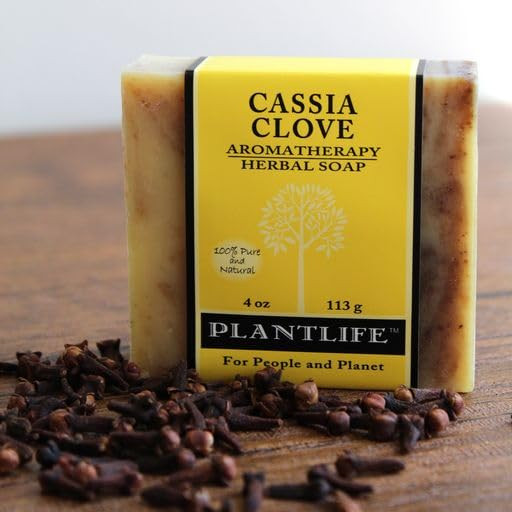 Plantlife Cassia Clove 6pack Bar Soap Moisturizing and Soothing Soap for Your Skin Hand Crafted Using PlantBased Ingredi