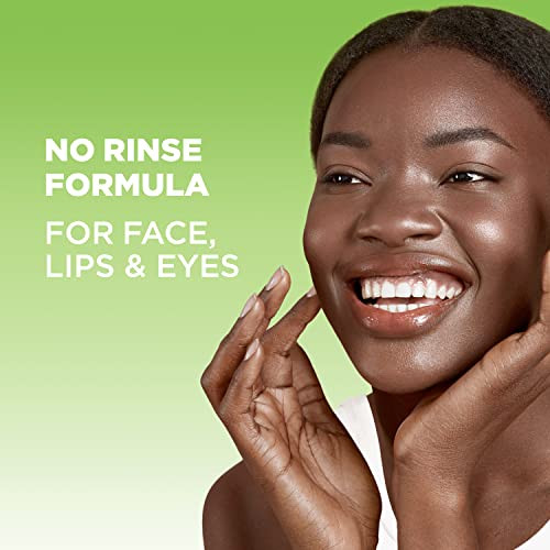 Garnier Micellar Water for Oily Skin Facial Cleanser Makeup Remover Mattifying For All Skin Types Vegan Cruelty Free 135