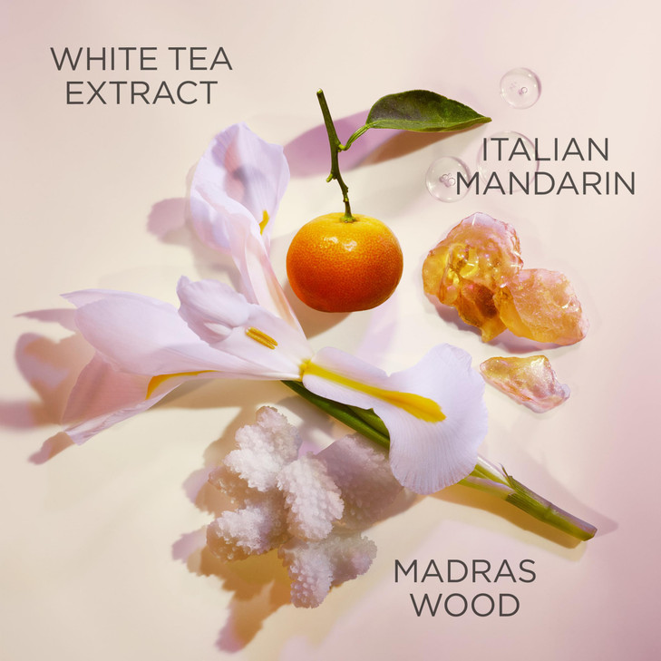 Elizabeth Arden White Tea Pure Indulgence Bath and Shower Gel for Women 135 oz