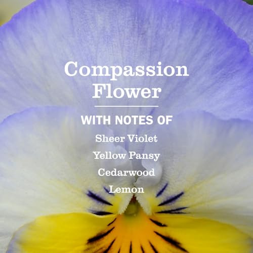 MRS MEYERS CLEAN DAY Hand Soap Made with Essential Oils Compassion Flower 125 fl oz Pack Of 3
