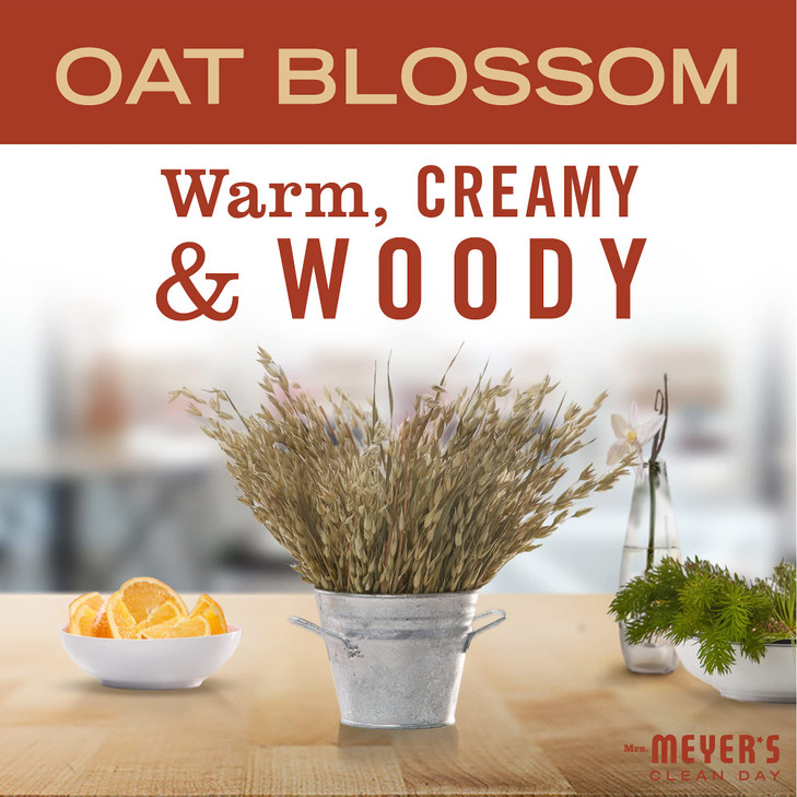 Mrs MEYERS CLEAN DAY Liquid Hand Soap Oat Blossom Scent 125 Fl Oz Pack of 6