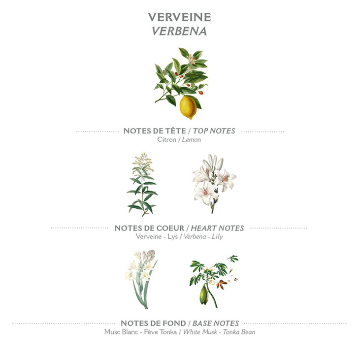 Panier des Sens Verbena Bar Soap Moisturizing Gentle Scented Soap Bar Natural Soap with Sweet Almond 97 Natural Ingredie