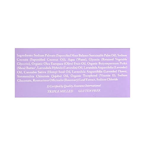Dr Woods Exfoliating Lavender Bar Soap with Organic Shea Butter 525 oz Pack of 6