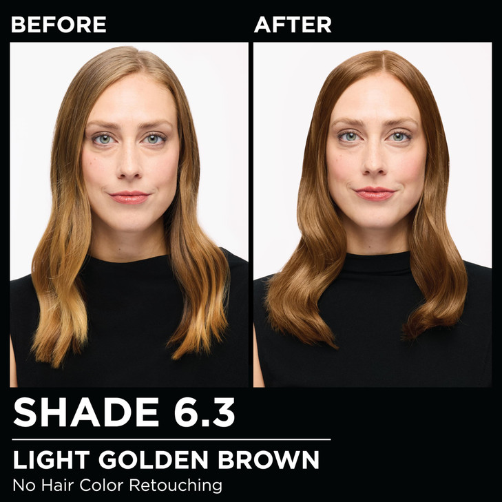 Garnier Hair Color Olia Ammonia-Free Brilliant Color Oil-Rich Permanent Hair Dye, 6.3 Light Golden Brown, 1 Count (Packaging May Vary) online at globaldelivered