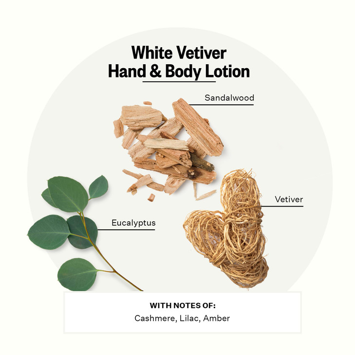 Apotheke Scented Hand Body Lotion White Vetiver 10 Fl Oz Nourishing Body Moisturizer Cream for Dry Skin Gentle Daily Ski
