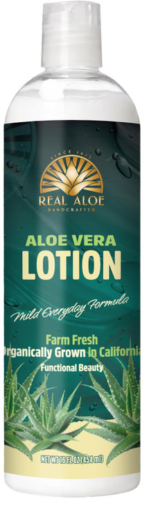 Real Aloe Aloe Vera Lotion 16 fl oz Organic Aloe for Face Body Hands Lightweight FastAbsorbing Moisturizer NonGreasy Hyd