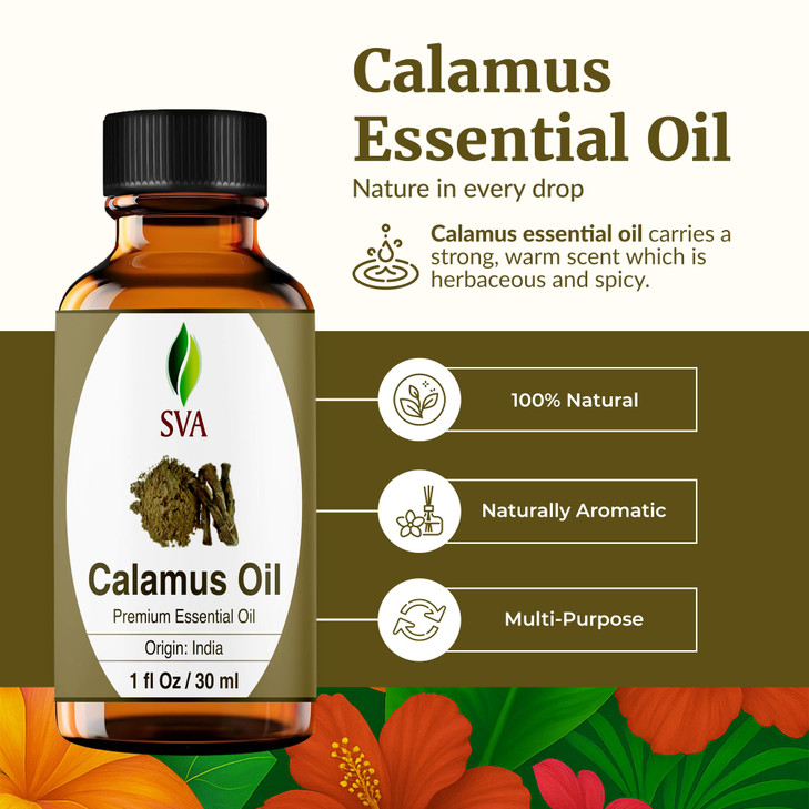 SVA Calamus Essential Oil 1 Fl Oz 100 Natural Calamus Oil for Diffuser Hair Care Face Skin Care Aromatherapy Scalp and B