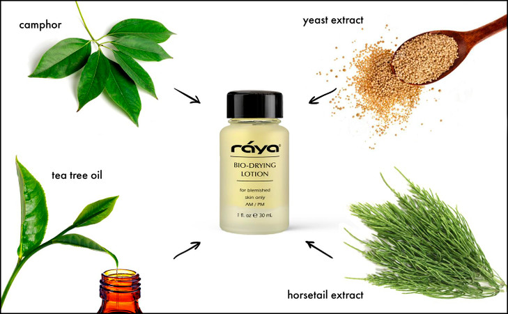 RAYA BioDrying Lotion 701 Facial Spot Treatment for BreakOuts Helps Dry Up WhiteHeads Great for OverNight Use