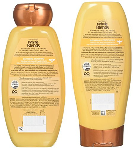 Garnier Whole Blends Honey Treasures Shampoo and Conditioner 125 Ounces each