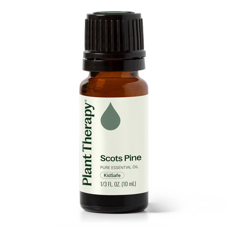 Plant Therapy Scots Pine Essential Oil 10 mL 13 oz 100 Pure Undiluted Therapeutic Grade