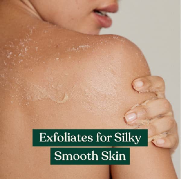 The Body Shop Shea Exfoliating Sugar Body Scrub Intense and Smoothing Exfoliation for Dry Skin Vegan 97 oz