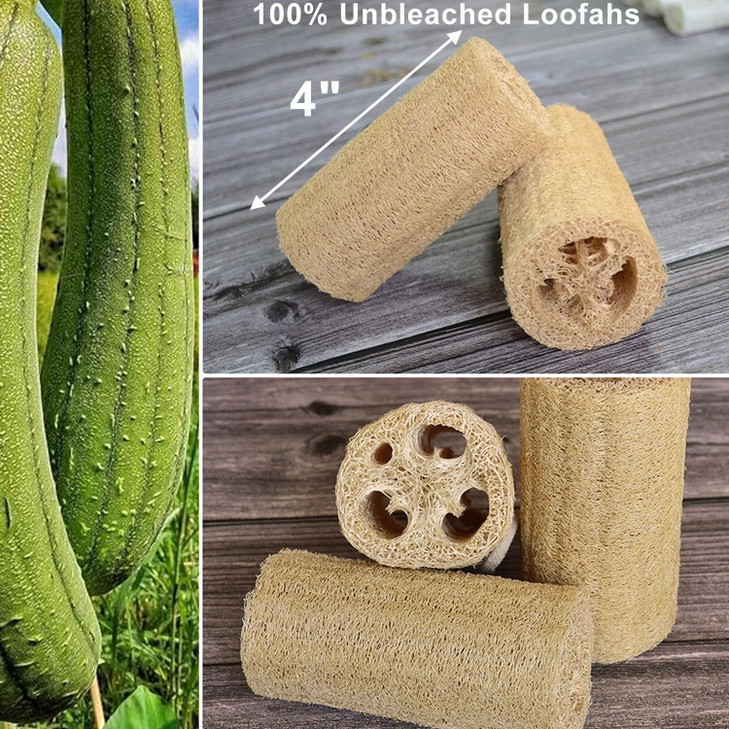 Natural Loofah Sponge METLUCK 6 Pack Organic Real Loofah Exfoliating Body Scrubber Luffa Sponge Natural Loofah Bulk for
