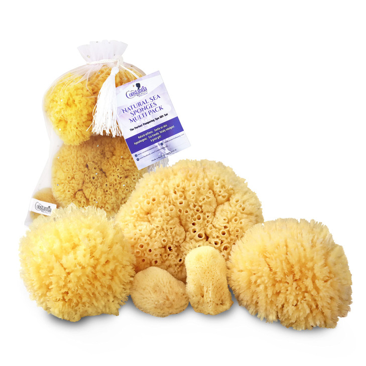 Real Natural Sea Sponges Multipack 5pc Spa Gift Set in Premium Bag Kind on Skin for Bath Shower Facial Cleansing Pamper