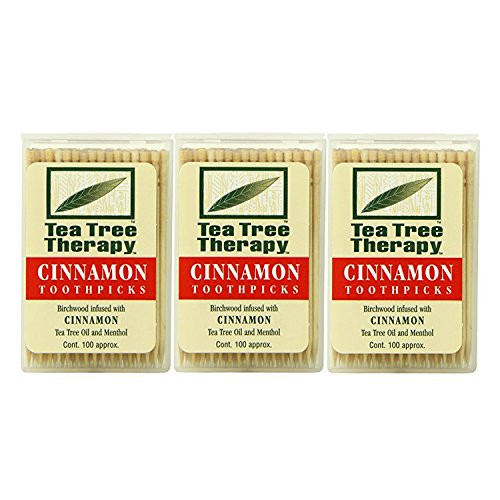 Tea Tree Therapy Toothpicks Cinnamon 100 Count 3Pack