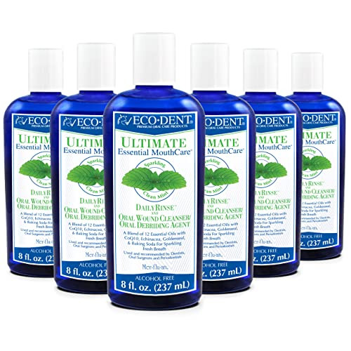 EcoDent AlcoholFree Mouthwash Mint Ultimate Essential MouthCare Oral Care Mouth Wash for Adults Baking Soda Mouth Rinse