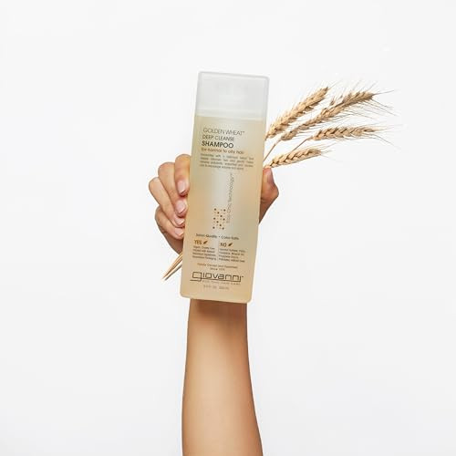 GIOVANNI ECO CHIC Golden Wheat Deep Cleanse Shampoo - Shampoo for Oily hair, Deep Cleansing With Botanical Oils, Helps Encourages Volume & Shine, Col online at globaldelivered