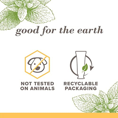 Burts Bees Toothpaste Natural Flavor FluorideFree Purely White Zen Peppermint 47 oz Pack of 3