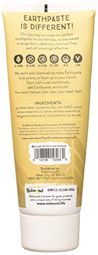 REDMOND REAL SALT Lemon Twist Earthpaste 4 OZ