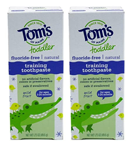 Toms of Maine Flouride Free Childrens Toothpaste Mild Fruit Flavor 175 oz 2 pk