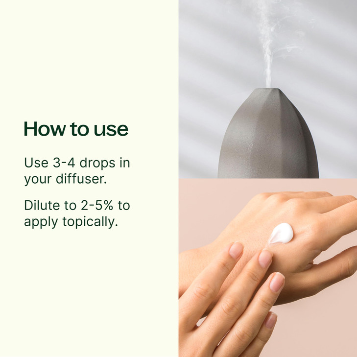 Plant Therapy Tea Tree Essential Oil 100% Pure, Undiluted, Natural Aromatherapy, Therapeutic Grade 10 mL (1/3 oz) online at globaldelivered