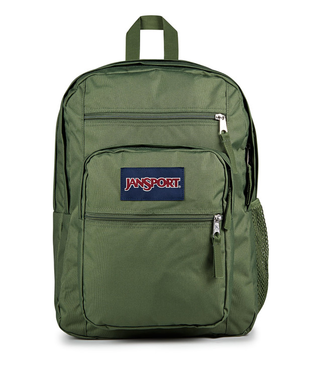JanSport Laptop Backpack Computer Bag with 2 Compartments Ergonomic Shoulder Straps 15 Laptop Sleeve Haul Handle Cargo G