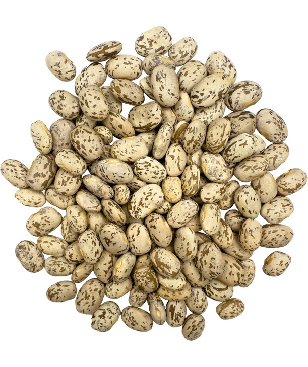 Palouse Brand Certified Glyphosate Residue Free Pinto Beans 4 lbs NonGMO Kosher