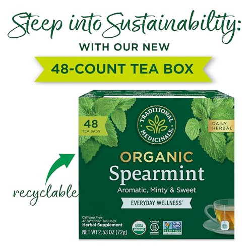 Traditional Medicinals Tea Organic Spearmint Supports Everyday Wellness Healthy Refreshing 48 Tea Bags