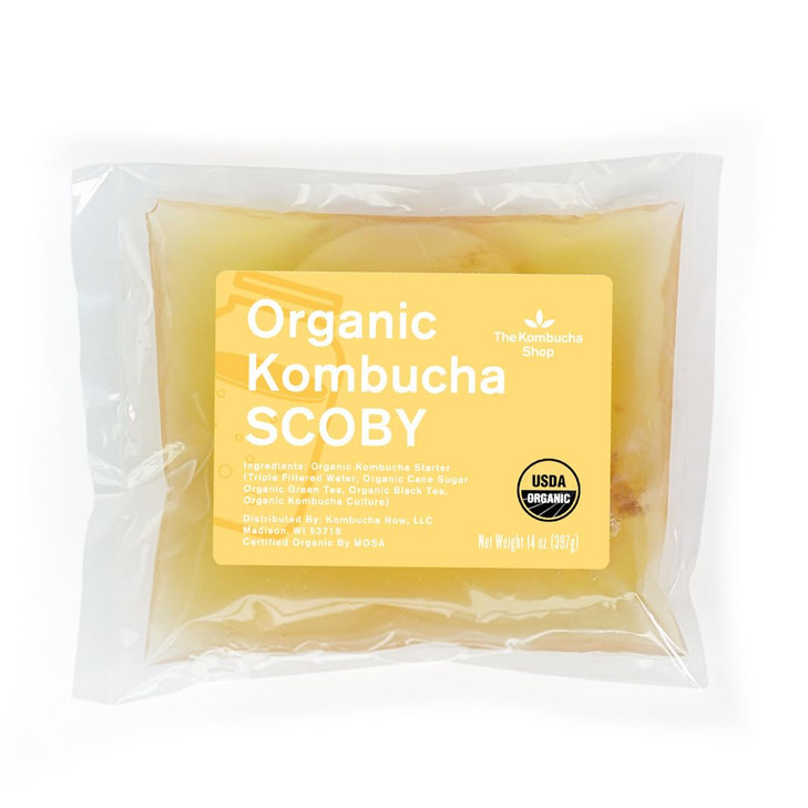 100 Organic SCOBY Kombucha Starter Kit 100 Guaranteed to Brew Fresh Live Culture with Starter Liquid The Kombucha Shop