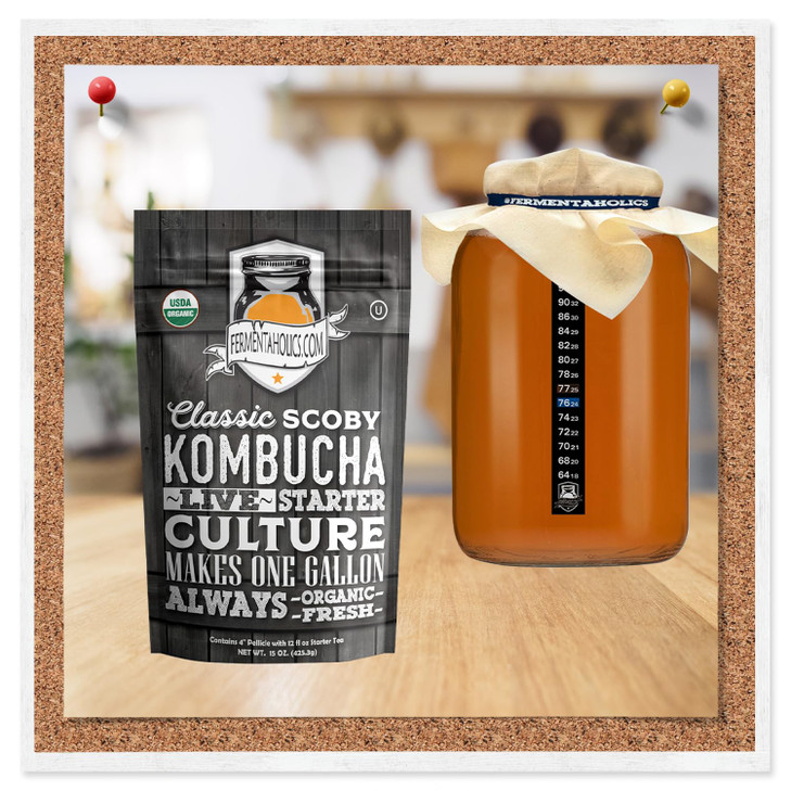 Kombucha Essentials Kit Includes USDA Organic Kombucha SCOBY 1Gallon Glass Fermenting Jar with Breathable Cover pH Strip