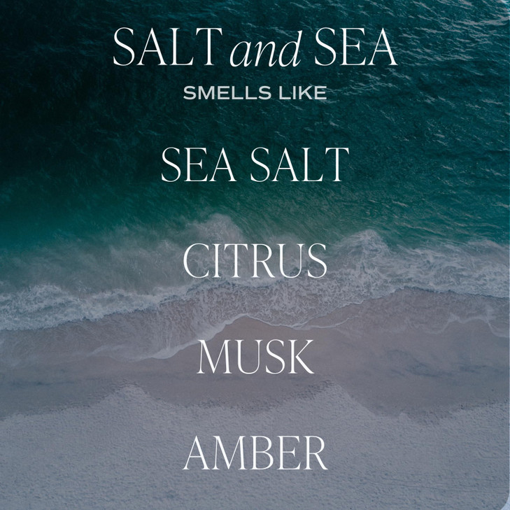 Sweet Water Decor Salt and Sea Reed Diffuser Room Decor Aesthetic with LongLasting Premium Fragrance of Sea Salt Citrus