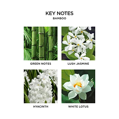 NEST New York Wall Diffuser Refill Vials Bamboo Set of 2 Up to 60 Days of Continuous Scent Cruelty Free Vegan Made in US