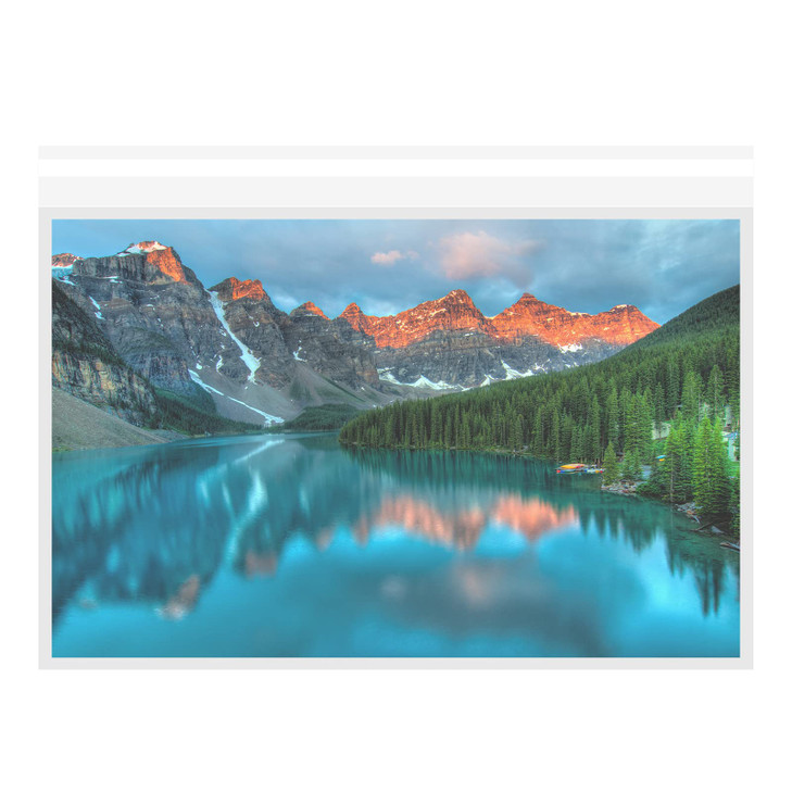Clear Bags for Art Prints Photos Acid Free Self Seal Print Sleeves Poster Sleeves 50Pack
