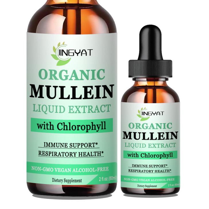 JINGYAT Mullein Drops for Lungs | Powerful Mullein Leaf Extract with Chlorophyll, Vitamin C, Cinnamon for Immune Support, Detox & Respiratory Support