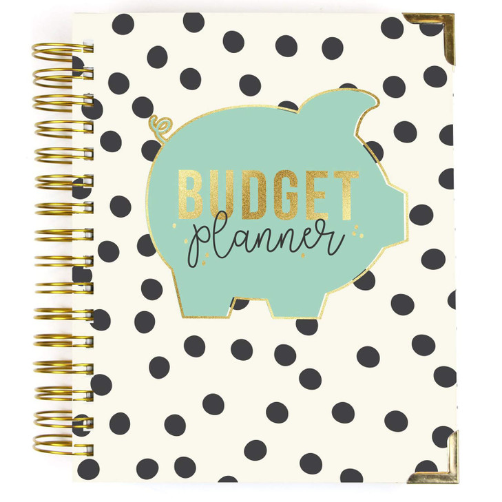 Pukka Pad Carpe Diem Budget Planner Spiral Bound Notebook with 12 Month Calendar Dividers Inserts and Sticker Sheets Fea