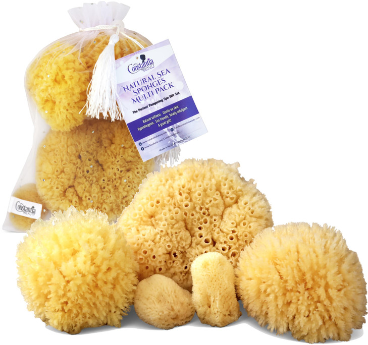 Constantia Beauty Real Natural Sea Sponges 5pc Spa Gift Set