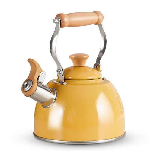 ROCKURWOK Tea Kettle Tea Pot with Cool Touch Ergonomic Handle Teapot Food Grade Stainless Steel Tea