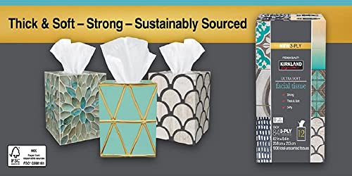 Kirkland Signature Facial Tissue, 3-Ply, 84 Count (12 Pack)
