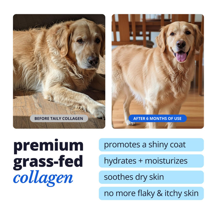 Skin and Coat Supplement for Dogs Cats Taily Liquid Collagen for Dogs Itch Relief for Dogs with Allergies with Grass