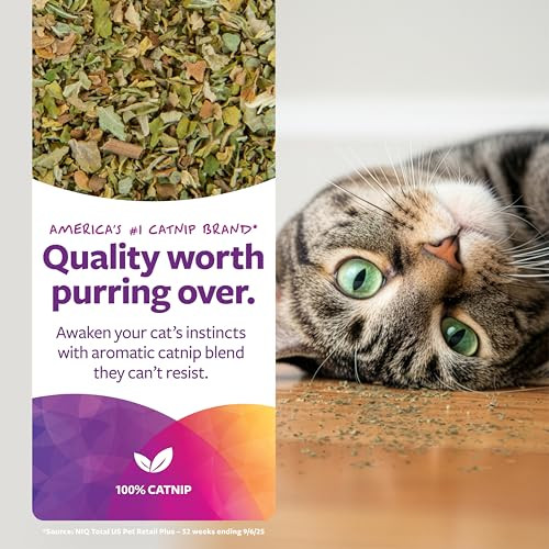 SmartyKat Catnip Natural Pure & Potent Attractant, Stimulating Positive Training Aid for Cats & Kittens, Resealable