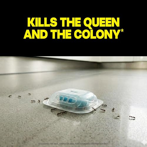 Raid Max Liquid Ant Bat Kills Ants Where They Breed, for Indoor and Outdoor Use 4 Bait Stations