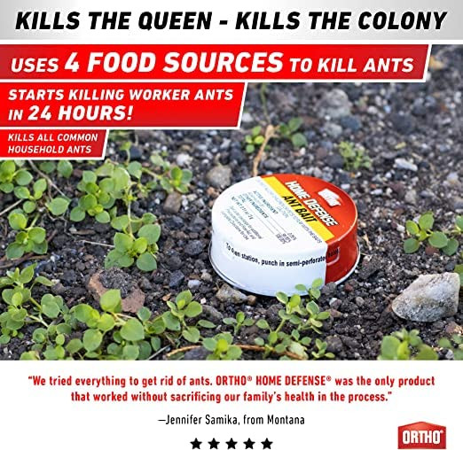 Ant Traps Indoor by Ortho Home Defense 10pk