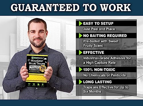 MaxGuard MaxGrip Glue Traps 24 Traps Non-Toxic Extra Sticky Glue Board Pre-Baited with Fruity Scent Attractant Trap &