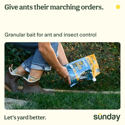 Sunday Ant Adios - Bug & Ant Killer - Outdoor Insect Control Uses Spinosad to Eliminate Ants, Earwigs, Cutworms, & More