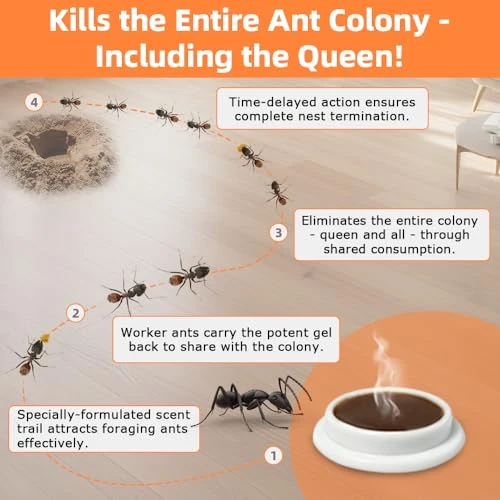 48 Pack Ant Bait Gel Stations for Common Household Ants, Indoor & Outdoor Ant Traps, Effective Carpenter Ant Killer for